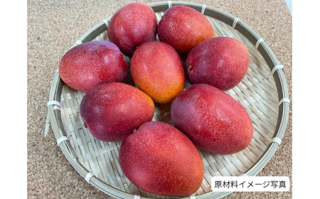 HM03　宮古島ドライマンゴー（4袋入り）