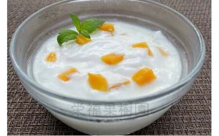 HM03　宮古島ドライマンゴー（4袋入り）