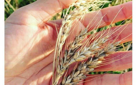 HB004 宮古小麦のちんすこうとさたぱんびん(サーターアンダギー)のセット