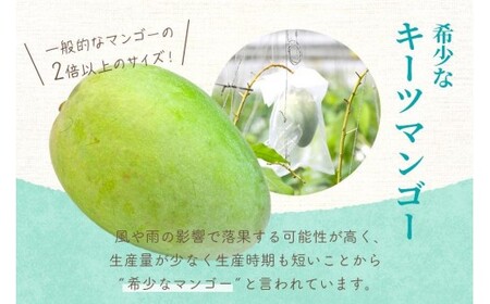 フローズンキーツマンゴー 《急速冷凍》600ｇ（FU007）