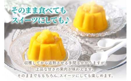 フローズンキーツマンゴー 《急速冷凍》600ｇ（FU007）