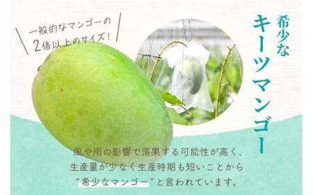 フローズンキーツマンゴー 《急速冷凍》1ｋｇ（FU009）