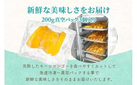 フローズンキーツマンゴー 《急速冷凍》1ｋｇ（FU009）