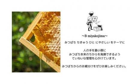 【早期受付】令和7年発送『宮古島産はちみつ』（150g）（HJ004）