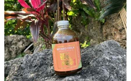 JN003　【宮古島のクラフトコーラ飲み比べセット】ミヤココーラ×２本