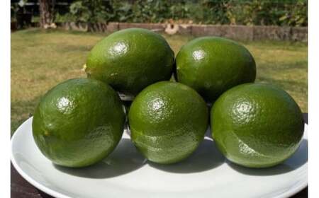 JN003　【宮古島のクラフトコーラ飲み比べセット】ミヤココーラ×２本