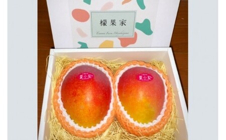 【2026年先行予約】【檬果家】【定期便】マンゴー好き必見!最強コンビ食べ比べ【アーウィン&夏小紅】(HZ002)