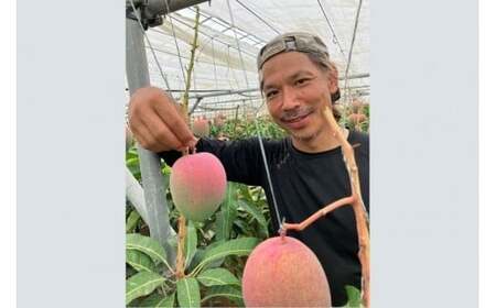 【2026年先行予約】【檬果家】【定期便】マンゴー好き必見!最強コンビ食べ比べ【アーウィン&夏小紅】(HZ002)