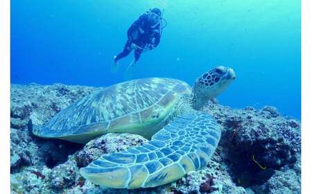 JK002 宮古島の神秘、地形ダイビング! ボートでファンダイビングコース(2ボートダイブ)