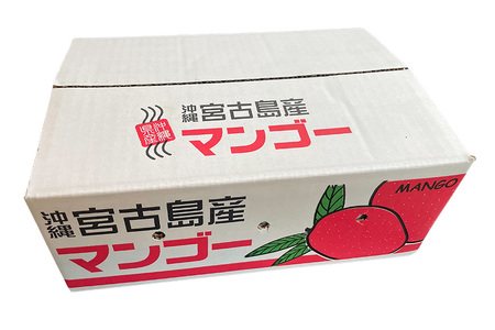 JH003《先行予約 2025年発送》宮古島産マンゴー（1ｋｇ×定期便2回）【（株）フラモン】