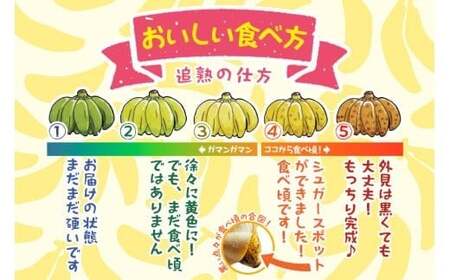 宮古島産バナナ1kg【（株）フラモン】（JH007）