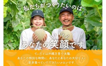 【8farm】宮古島産てぃだメロン1玉（2kg以上）《2025年12月～1月発送》（JC005）