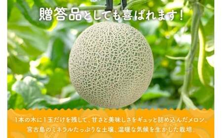 【8farm】宮古島産てぃだメロン1玉（2kg以上）《2025年12月～1月発送》（JC005）