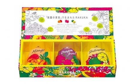 DQ001　RAKUKAゼリー3種入りセット×2箱