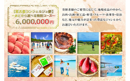 宮古島コンシェルジュ便 ～あとから選べる特別コース～（600万円分）（CW15）