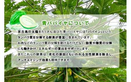 JJ013　宮古島産パパイヤしりしり（300g×3パック）