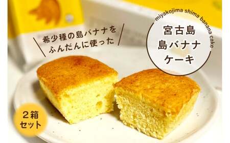 AB107　希少種の島バナナをふんだんに使った『宮古島 島バナナケーキ』2箱セット