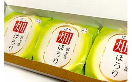 AB108【沖縄離島フェア優良特産品特別賞】 畑(ぱり)ほろり×2箱セット