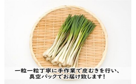 島らっきょう（200g）AZ107