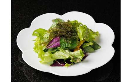 SH002　宮古牛ステーキディナーコースご利用券（2名様）