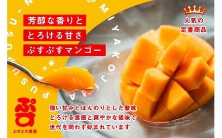【ぷすぷす農園】＜2026年発送先行予約＞宮古島産完熟マンゴー(家庭用／1キロ／農園直送)（KY001）
