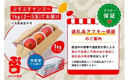 【ぷすぷす農園】＜2026年発送先行予約＞宮古島産完熟マンゴー(家庭用／1キロ／農園直送)（KY001）