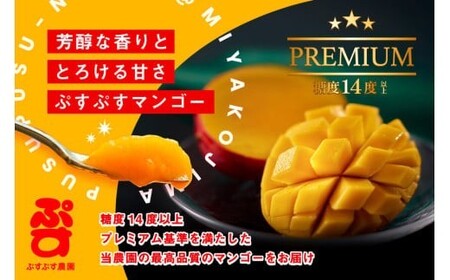 【ぷすぷす農園】＜2026年発送先行予約＞宮古島産完熟マンゴープレミアム（贈答用／2キロ／農園直送）(KY004)