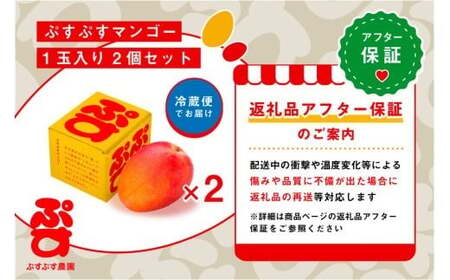 【ぷすぷす農園】＜2026年発送先行予約＞宮古島産完熟マンゴー1玉入り×2個セット（農園直送）（KY005）
