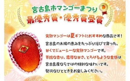 ＜2026年夏発送＞ 宮古島産樹上完熟マンゴー1kg（2～3玉）グットクロップ宮古島（SG001）