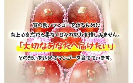 ＜2026年夏発送＞ 宮古島産樹上完熟マンゴー1kg（2～3玉）グットクロップ宮古島（SG001）