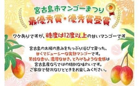 ＜2026年夏発送＞ 宮古島産樹上完熟マンゴー（訳あり/ご家庭用）1kg（2～3玉）グットクロップ宮古島（SG004）