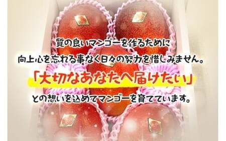 ＜2026年夏発送＞ 宮古島産樹上完熟マンゴー（訳あり/ご家庭用）2kg（3～6玉）グットクロップ宮古島（SG005)