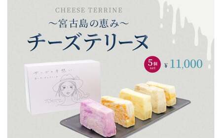 AYT002　～宮古島の恵み～ チーズテリーヌ 5個セット 4,050円