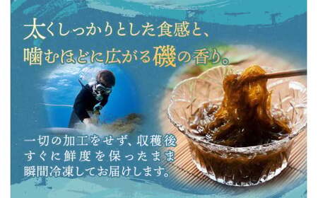 MJ03　生もずく10個セット　マジャーランド宮古島