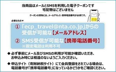 JT013　沖縄県宮古島市　日本旅行　地域限定旅行クーポン60,000円分（Ｅメール発行）｜トラベルクーポン 納税チケット 旅行 宿泊券 ホテル 観光 旅行 旅行券 交通費 体験 宿泊 夏休み 冬休み 家族旅行 ひとり旅 カップル 夫婦 親子 沖縄旅行