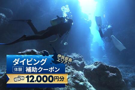 『ダイビング体験補助クーポン（12,000円分）』沖縄県・宮古島(HWM05)