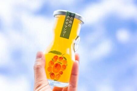 ＜当社人気商品＞宮古島のしあわせマンゴー　小瓶５本セット【90ｇ×5本】（T113）