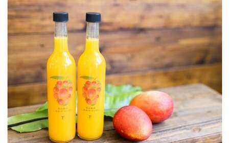 宮古島のしあわせマンゴー　大瓶２本セット【500ｇ×2本】(T114)