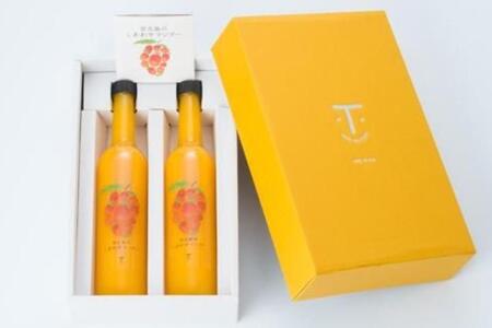 宮古島のしあわせマンゴー　大瓶２本セット【500ｇ×2本】(T114)