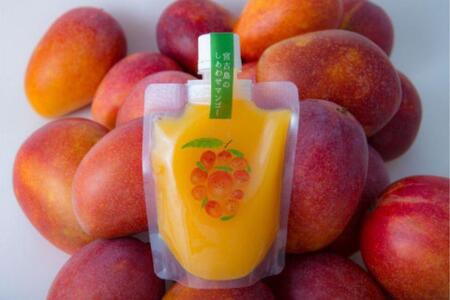 宮古島のしあわせマンゴー　よくばりバラエティセット(T115)