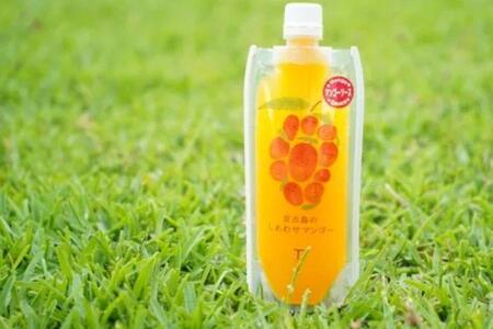 宮古島のしあわせマンゴー　SoSweetセット(T116)