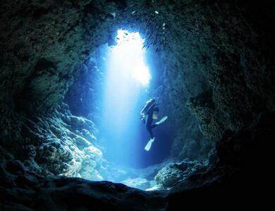 ダイビングYouTuber Tottyのお店!3ダイブ(魔王の宮殿など)BIGHOLIDAY(DB01)