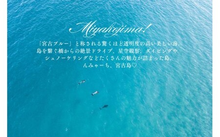 宮古島市に泊まるふるさと納税旅行クーポン【6,000円分】（NK02）