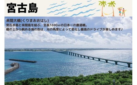 宮古島市に泊まるふるさと納税旅行クーポン【12,000円分】（NK04）
