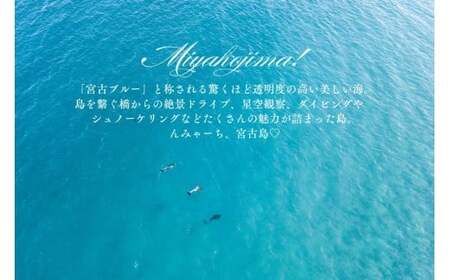宮古島市に泊まるふるさと納税旅行クーポン【12,000円分】（NK04）