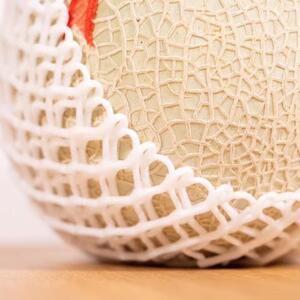 宮古島産 赤肉メロン 2玉 【農家直送】 ＜とみお農園＞（TN02）