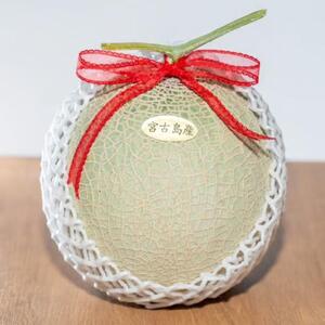 宮古島産 赤肉メロン 2玉 【農家直送】 ＜とみお農園＞（TN02）