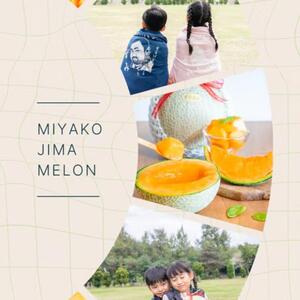 宮古島産 赤肉メロン 2玉 【農家直送】 ＜とみお農園＞（TN02）