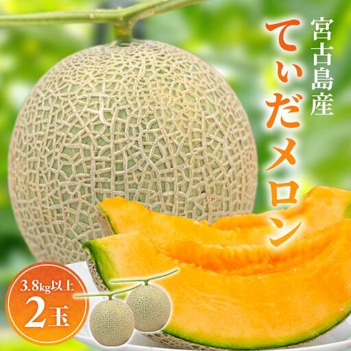 ＜先行受付＞【8farm】宮古島産てぃだメロン2玉（3.8kg以上）《2026年12月～2027年1月発送》（JC009）