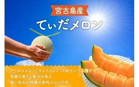 ＜先行受付＞【8farm】宮古島産てぃだメロン1玉（2kg以上）《2026年4月～5月発送》（JC012）